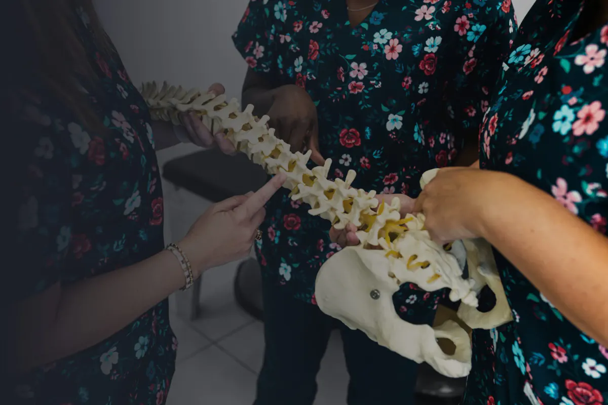 Physiotherapists at Anneli Müller Physiotherapy with a spine model